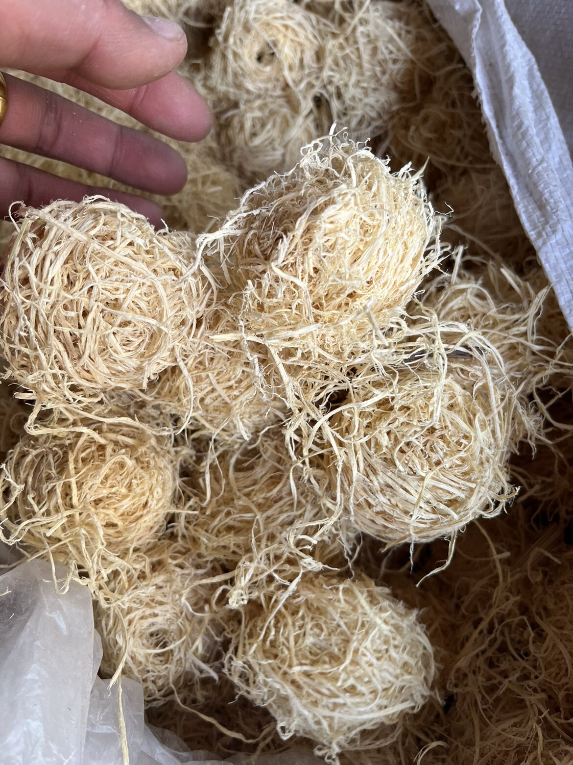 竹茹500克中药材 竹茹球 青竹茹 竹皮 淡竹茹包邮