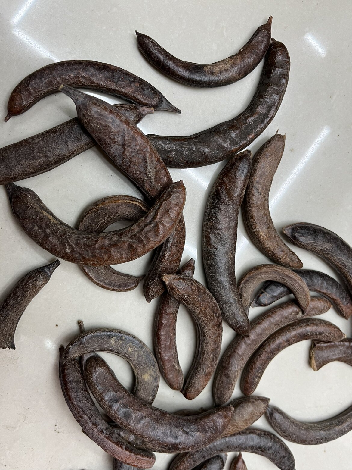 中药材皂角 猪牙皂 小皂角荚 500g包邮