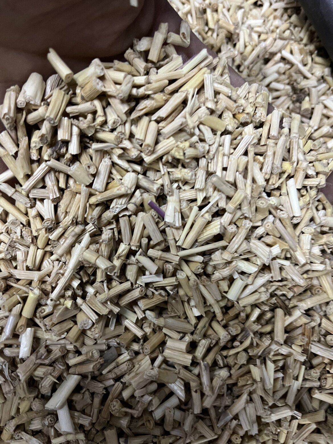 中药材白毛根 白毛草 甜草根 500克包邮