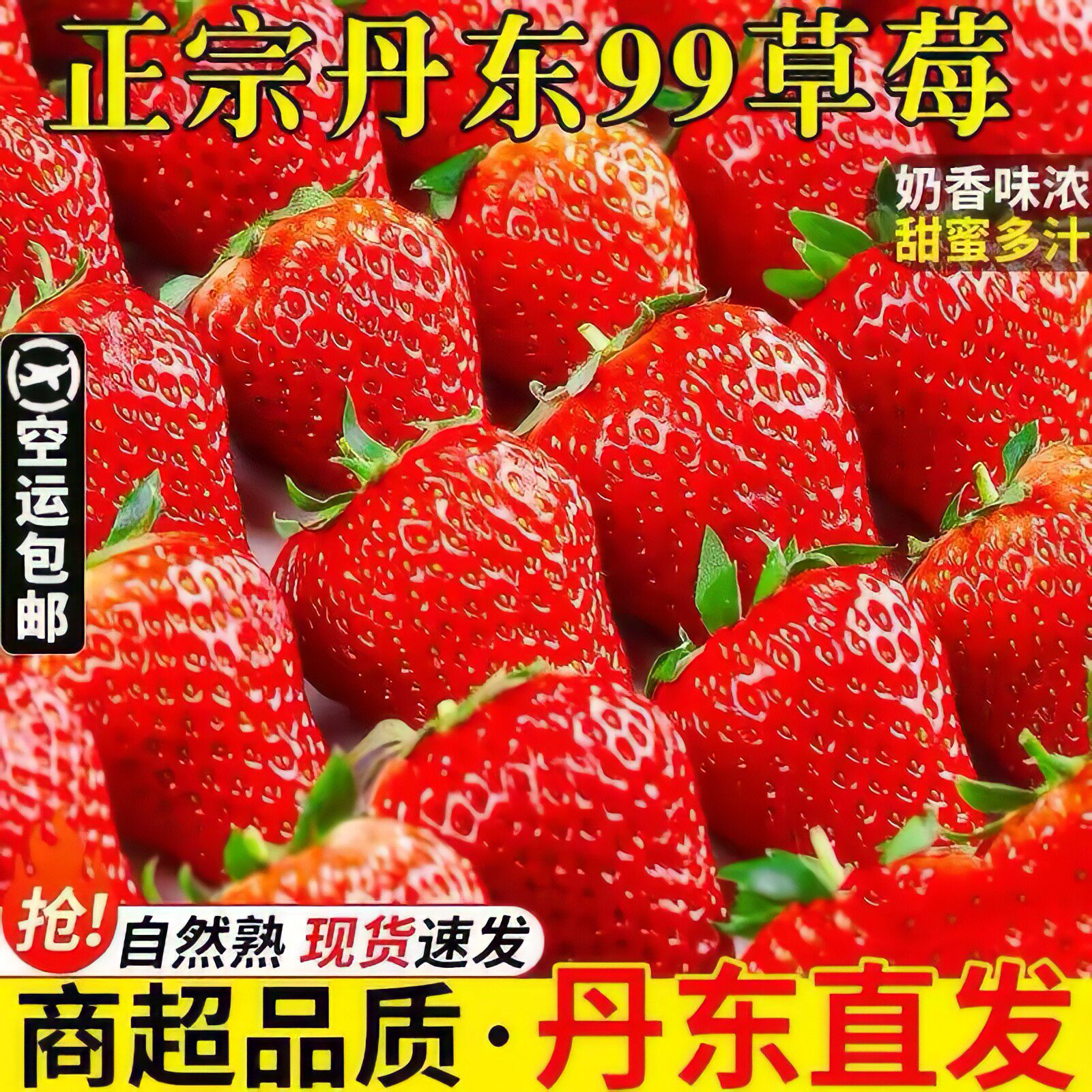 丹东99草莓东港大九九牛奶奶油正宗红颜草莓水果99当季礼盒装新鲜