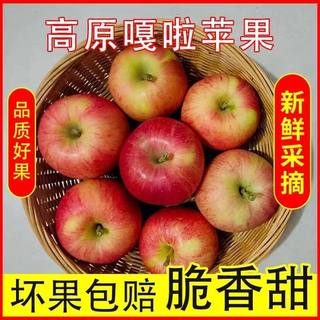 山西嘎啦苹果红富士嘎啦脆甜苹果新鲜水果小苹果宝宝辅食苹果顺丰