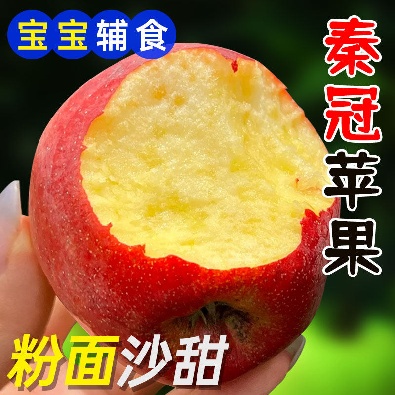 正宗秦冠苹果粉面沙甜苹果老树苹果新鲜现摘宝宝可刮泥整箱包邮