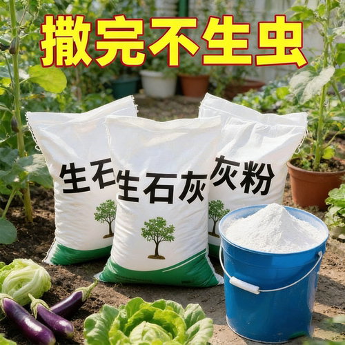种菜生石灰粉水质净化杀虫驱虫剂干燥剂改善水质改良土壤防霉防病