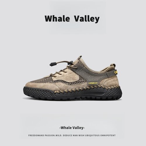 【1万+人种草】WhaleValley