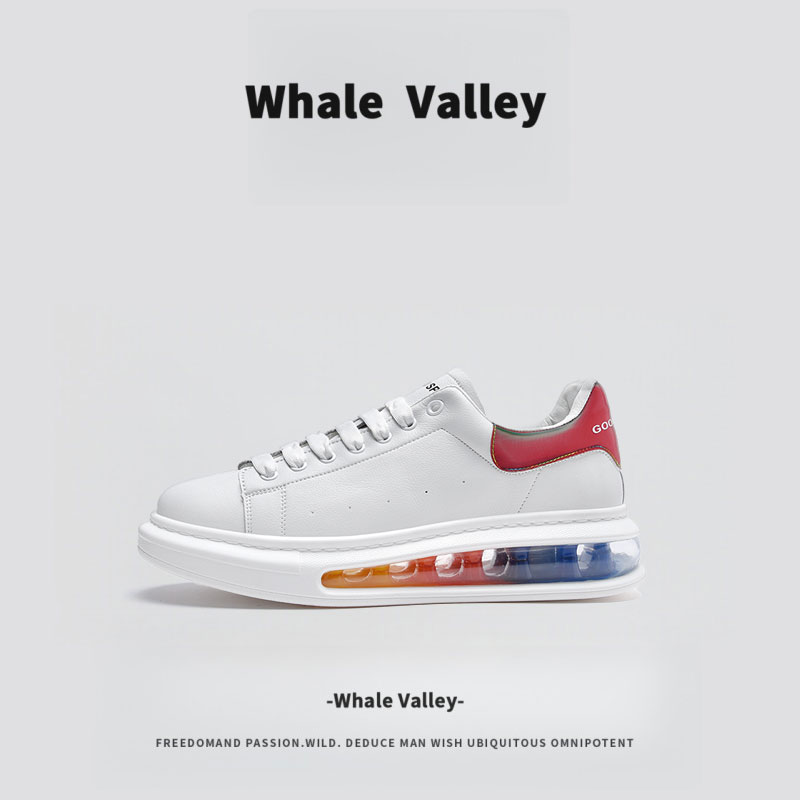 【1万+人种草】WhaleValley