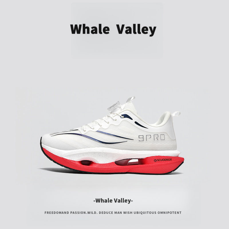 【1万+人种草】WhaleValley