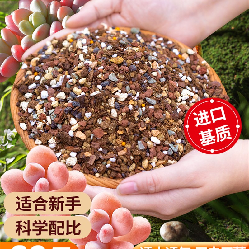 速发多肉营养颗粒土泥炭花营养土栽植室内盆种铺用土壤颗粒通面石