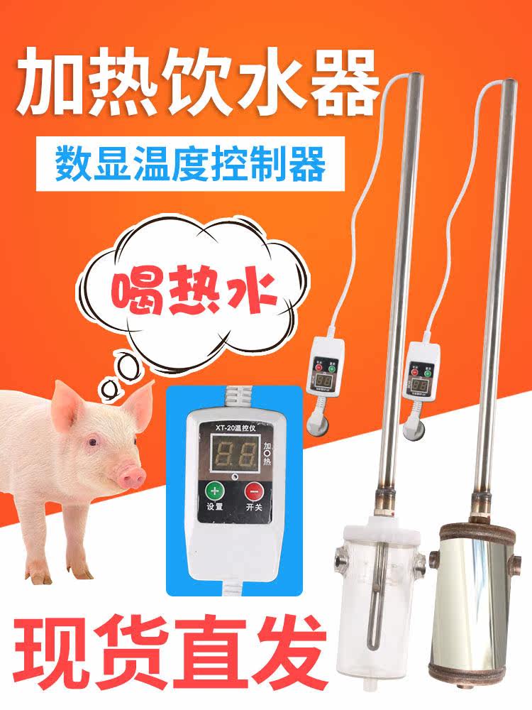 小猪用恒温加热饮水器仔猪保育猪羊用自动加热热水器产床养殖兽用