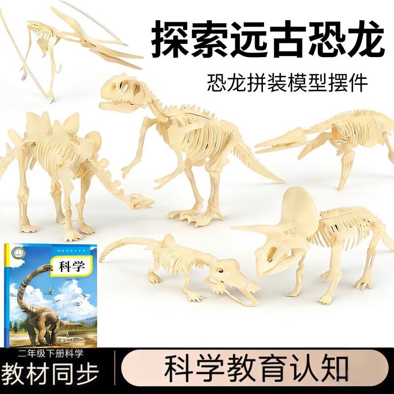 老师推荐科学教材二年级恐龙拼装骨架霸王龙三角龙模型摆件玩具男
