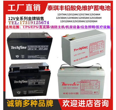 Techfine 泰琪丰蓄电池UD12V-17AH安防7.2AH9A12A24A38A40A65A100