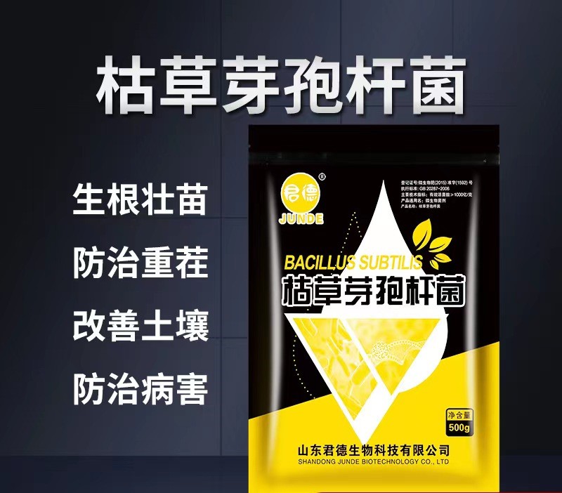枯草芽孢杆菌一强力生根壮根活化土壤