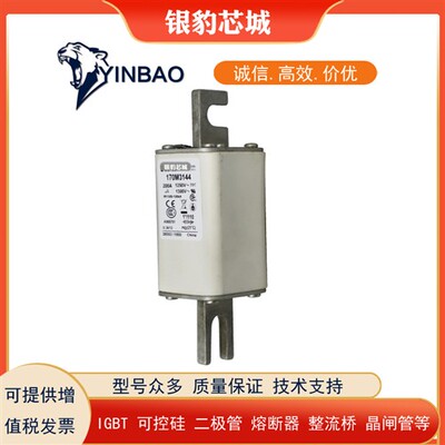 170M3158 170M3159 170M3160 170M3161 170M3162全新熔断器保险丝