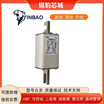 170M3058 170M3059 170M3060 170M3061 170M3062全新熔断器保险丝