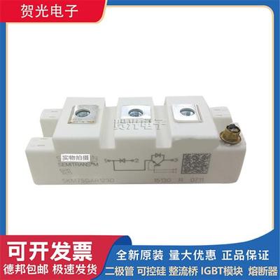 SKM75GAR063D/ SKM75GAR123D/ SKM75GB176D 西门康IGBT模块全新