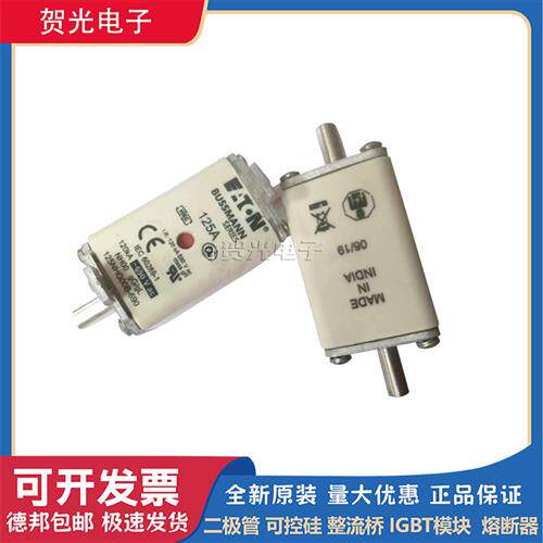63NHG01B 80NHG01B 100NHG01B 125NHG01B 160NHG01B全新熔断器