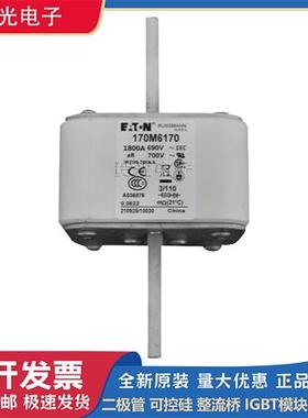 熔断器170M6158/6159/6160/6162/6163/6165/6166/6168/6170