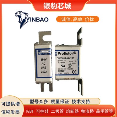 DN000UB69V40 G330033 DN000UB69V50 H330034全新熔断器现货