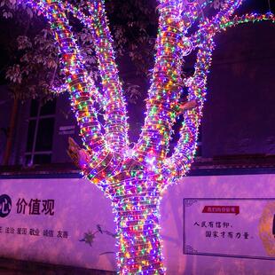 饰星星灯 led彩灯闪灯串灯满天星户外七彩春节家用过新年挂树灯装
