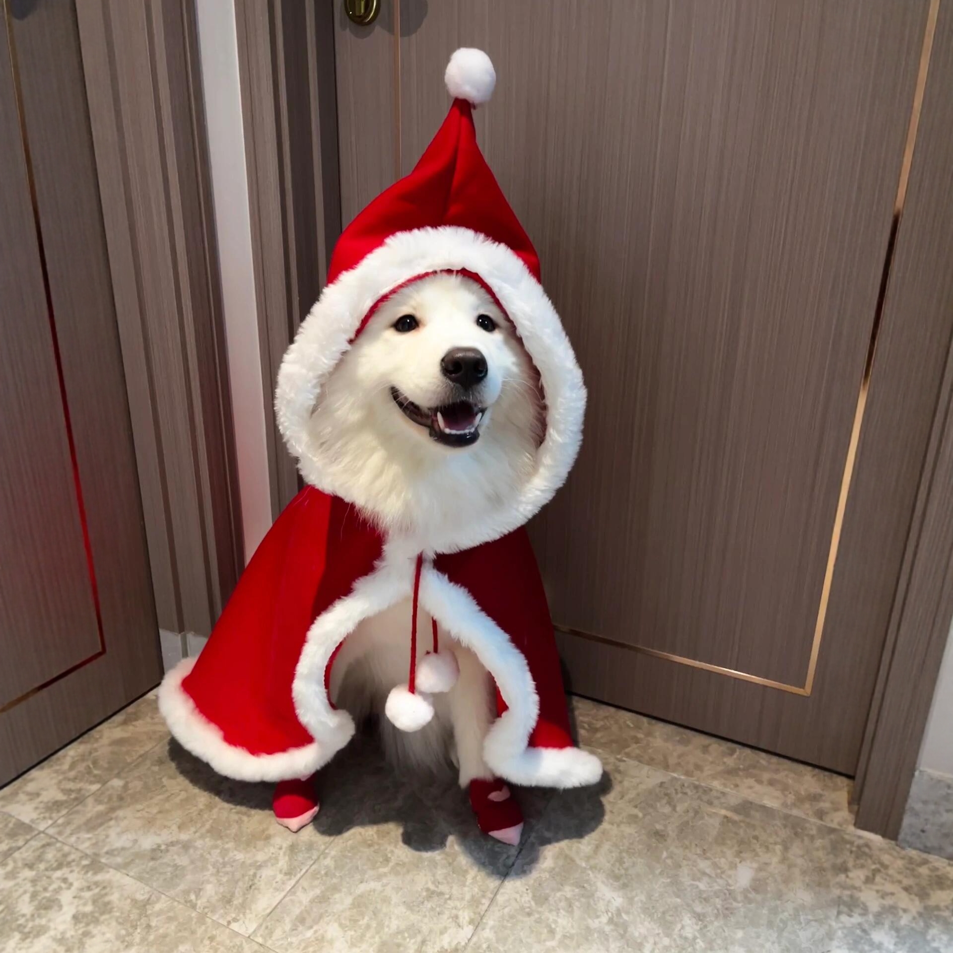 狗狗衣服冬装圣诞帽斗篷拍照道具2025新款宠物节日装扮小中大型犬