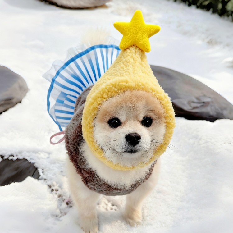 狗狗巫师帽新年冬季宠物可爱头套帽子衣服博美比熊泰迪小型犬保暖