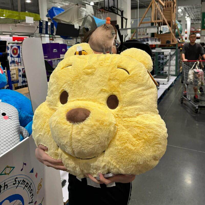 抱枕公仔可爱女生睡觉专用靠枕维尼小熊卡通靠垫大号超软毛绒玩偶