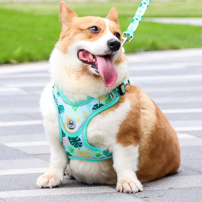 狗狗胸背带背心式牵引绳中小型犬狗链泰迪比熊柯基法斗遛狗绳链子