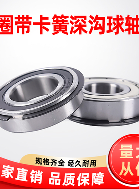 带止动槽卡簧轴承6200 6201 6202 6203 6204 6205NR6206zzNR RSNR