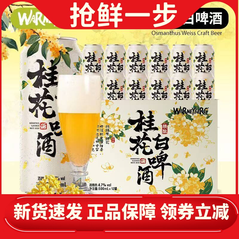 桂花白啤500ml*12/24罐装12.5度中式精酿啤酒整箱礼盒装清仓批发