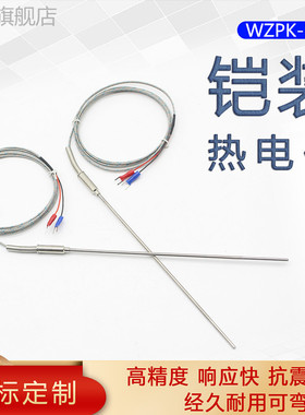 WZPK-191 PT100铠装热电阻 可弯曲热电阻 高温热电偶探头 K/E/J型