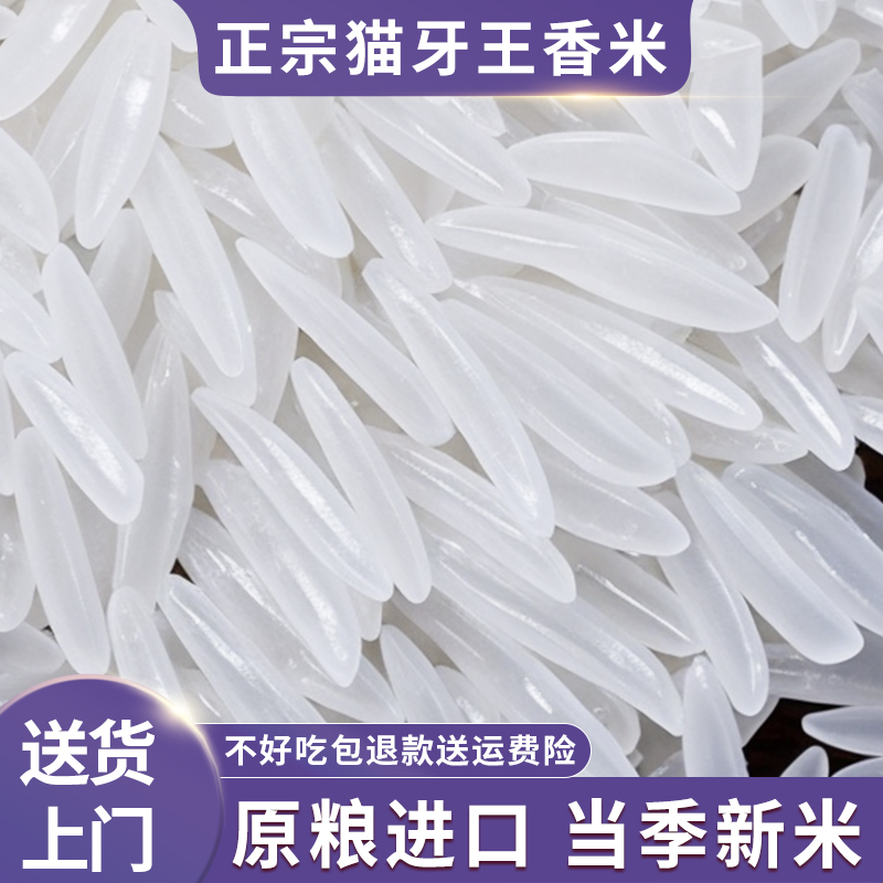 泰那兰原粮进口泰国香米猫牙米