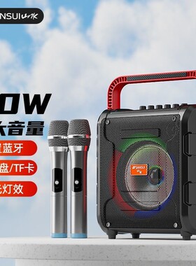 山水D13户外便携手提广场舞蓝牙