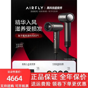 AIRFLY鱼子酱护发高速吹风风礼盒P1机家用负离子速干保时捷电吹