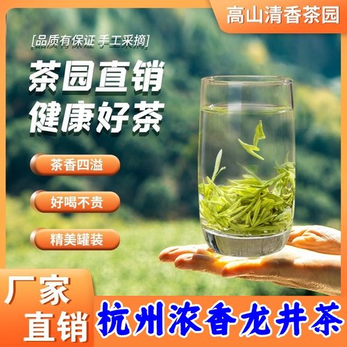 杭州明前龙井茶绿茶送礼浓香新茶