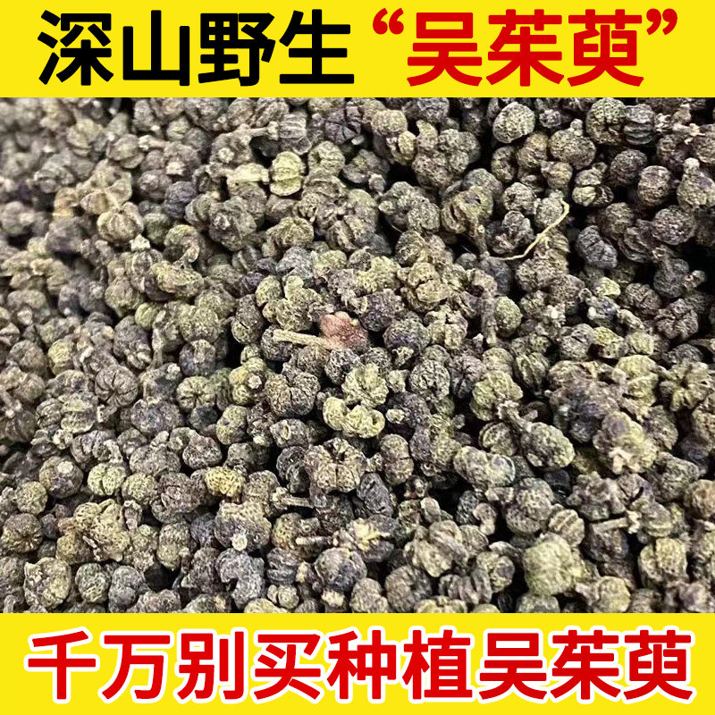 深山野生中药材吴茱萸500g 茶辣 漆辣子 优辣子 曲药子 气辣子