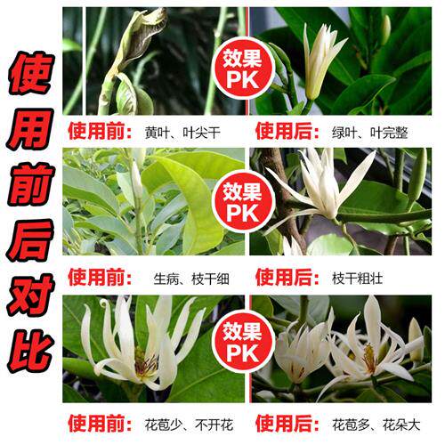 速发白兰花肥料专土肥营养土盆栽种植用玉兰花透气花泥有机白壤肥