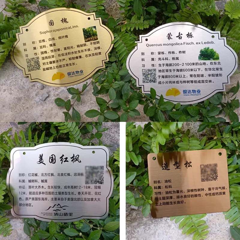 速发亚克力植物挂牌 公园绿化花草吊牌户外树木介绍标识牌标牌