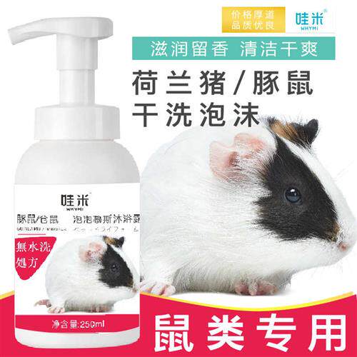 速发仓鼠干洗降沫清香金丝熊用品洗澡清洁猪专用松鼠温泡夏