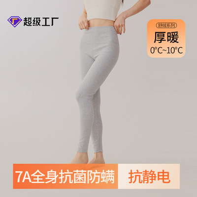 280g新款女士纯棉加厚A类高腰内穿保暖裤衬裤修身打底单件冬季