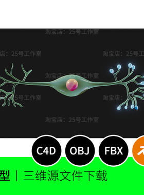双极神经元结构轴突树突细胞末端3D模型blender建模C4D解剖1660