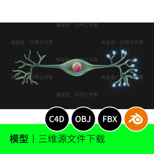 双极神经元结构轴突树突细胞末端3D模型blender建模C4D解剖1660
