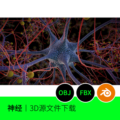 神经元系统结构3D模型建模素材不规则艺术三维blender fbx obj226
