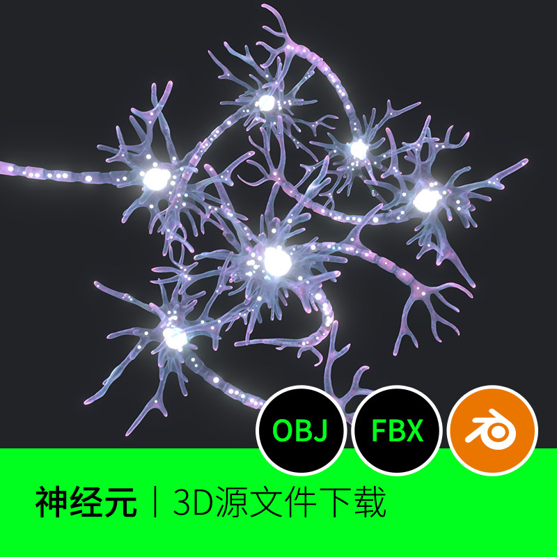 神经元结构微观3d三维模型素材文件下载建模图纸fbx obj85