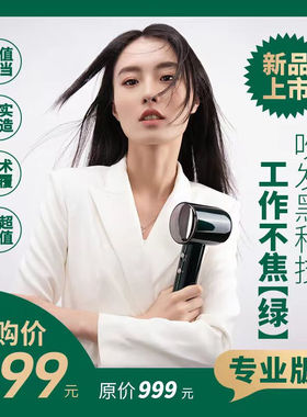 追风者电吹风机发型师理发店发廊专用专业版大功率大风力护发高速