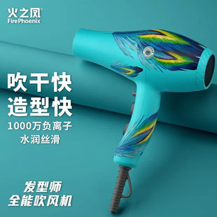 火之凤火之凤吹风机发廊专用理发店发型师家用静音速干负离子风筒