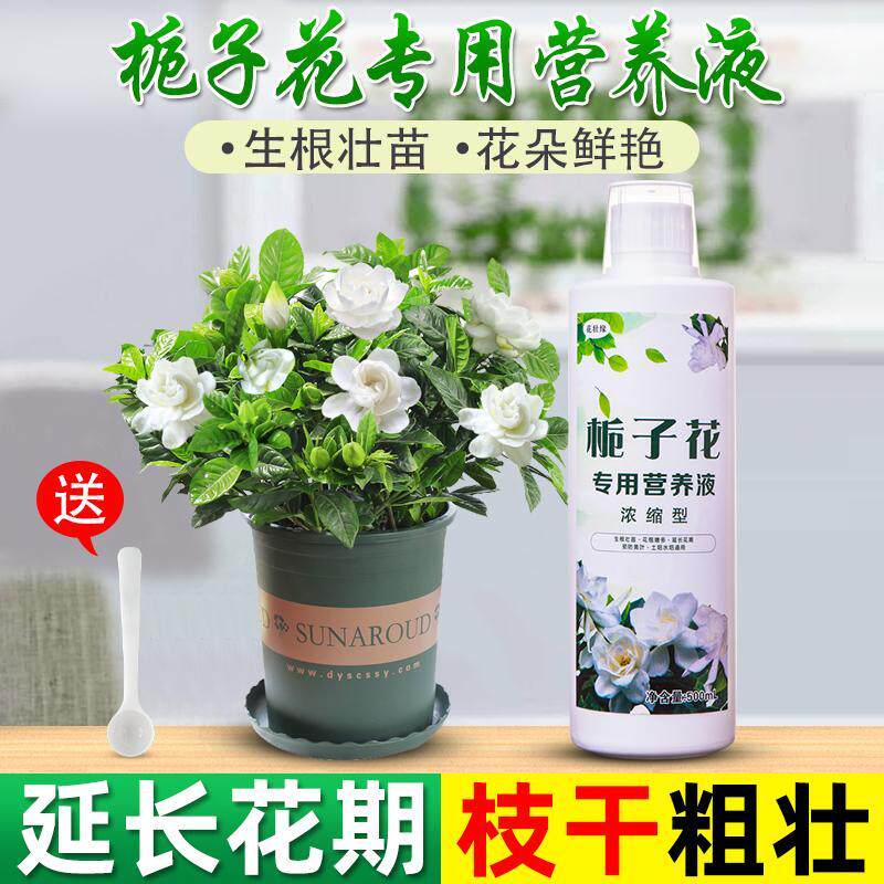 栀子花肥料专用肥营养液矾肥水花肥家用酸性开花营养土土壤专用肥