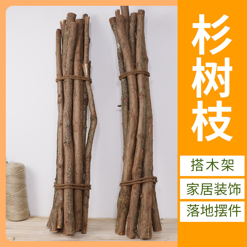 杉木原木树干围栏实木干树干落地造景装饰造型树原木树枝干干木头