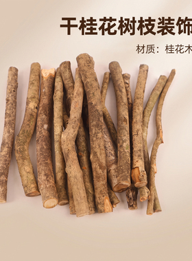 干桂花小树枝插花摆放复古造景