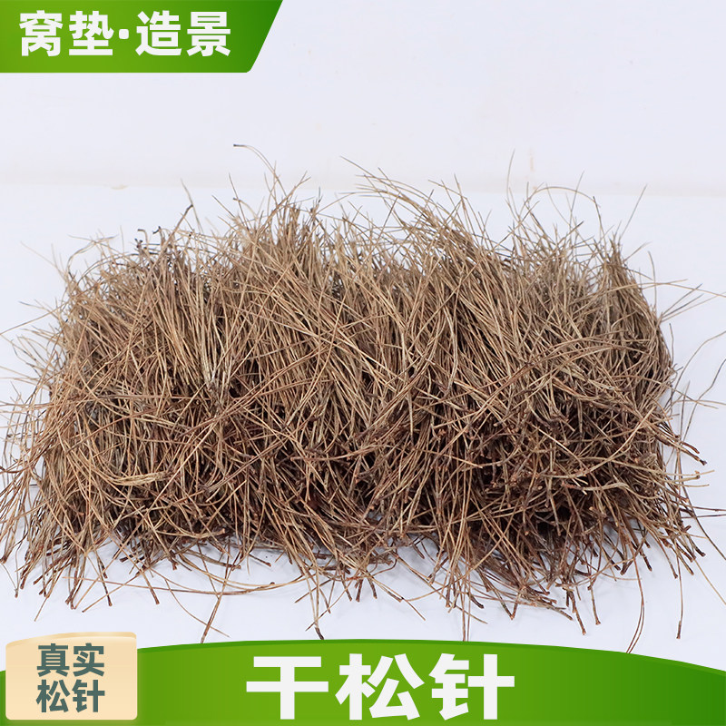 垫窝材料干松针晒干发货