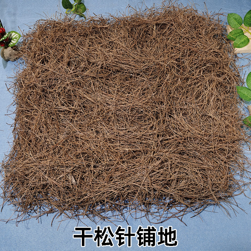 干松针铺平方花盆填充宠物垫料