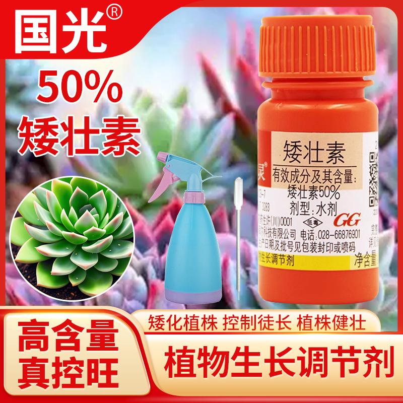 国光矮壮素多效唑矮胖素控旺剂矮化剂水仙太阳花卉多肉花药送壶